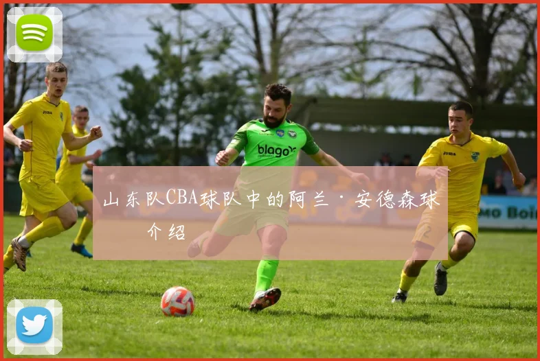 山东队CBA球队中的阿兰·安德森球员介绍