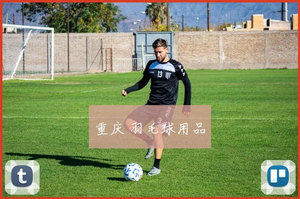 重庆 羽毛球用品