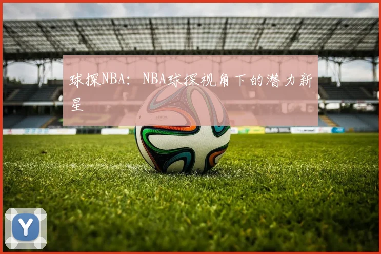 球探NBA：NBA球探视角下的潜力新星